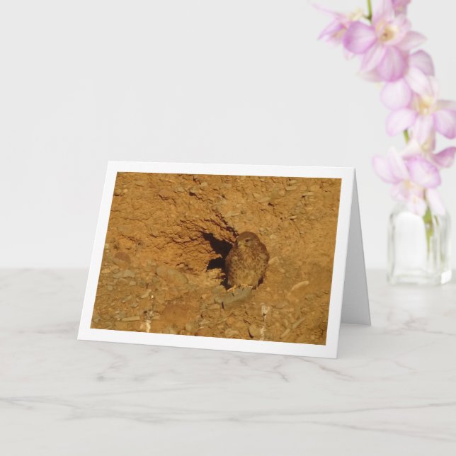 Common Kestrel Bird, Falco Tinnunculus  Card (Orchid)
