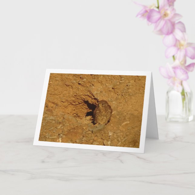 Common Kestrel Bird, Falco Tinnunculus  Card (Orchid)