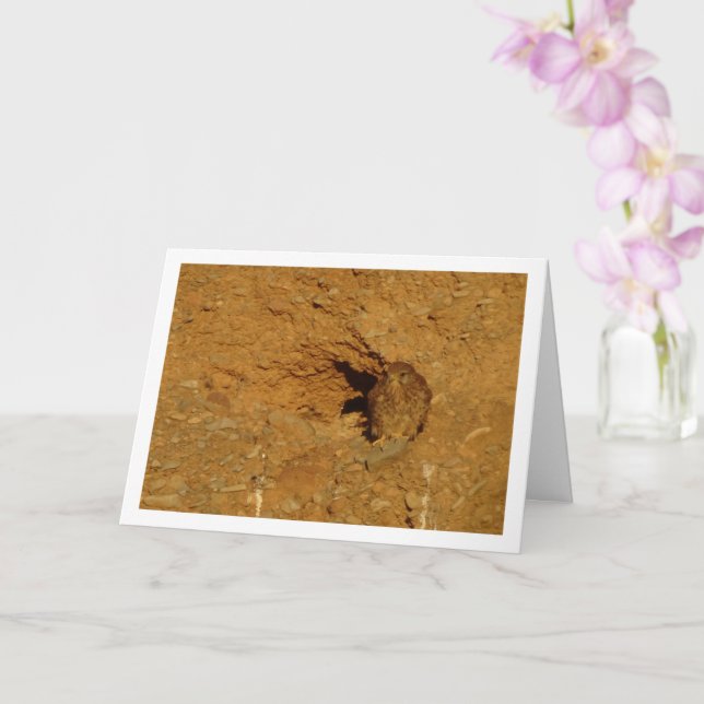 Common Kestrel Bird, Falco Tinnunculus  Card (Orchid)