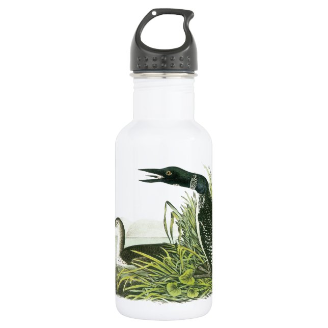 Common Loon by Audubon 532 Ml Water Bottle (Front)