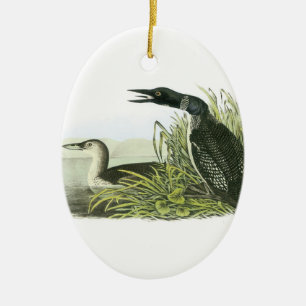 Common Loon by Audubon Ceramic Tree Decoration