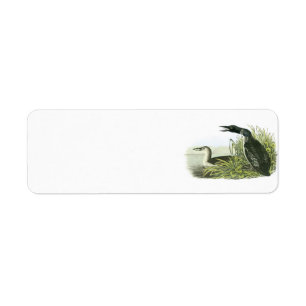Common Loon by Audubon Return Address Label