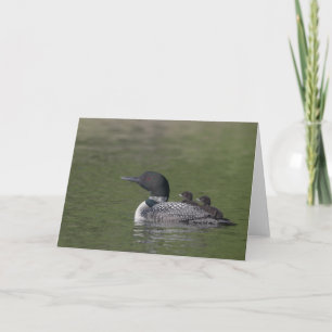 Common Loon Greeting Card