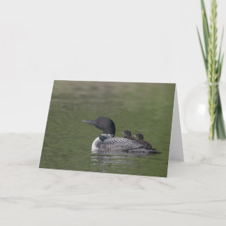Common Loon Greeting Card