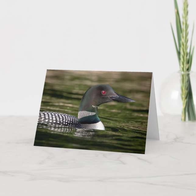 Common Loon on Jabe Pond Card (Front)