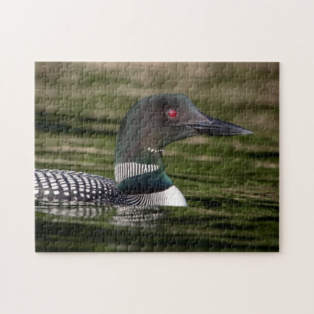 Common Loon on Jabe Pond Jigsaw Puzzle (Horizontal)