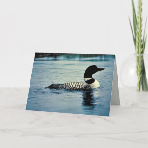 Common Loon on Water Card
