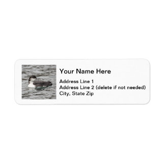 Common Loon Return Address Label