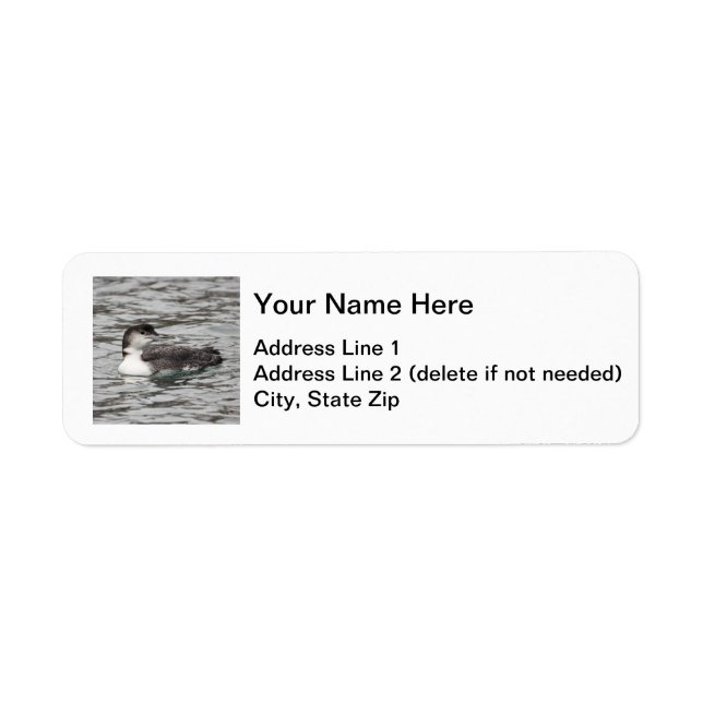 Common Loon Return Address Label (Front)