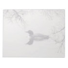 Common Loon Swims in a Northern Lake in Winter
