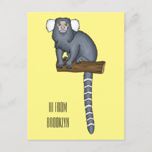Common marmoset cartoon illustration postcard