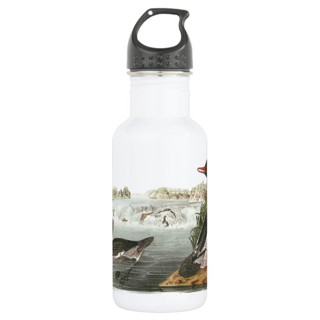 Common Merganser by Audubon 532 Ml Water Bottle (Front)