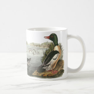 Common Merganser, John Audubon Coffee Mug