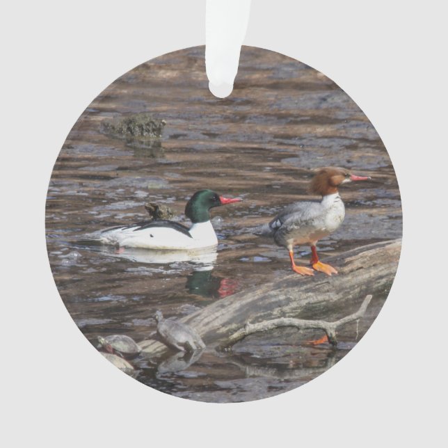 Common Merganser Ornament (Front)