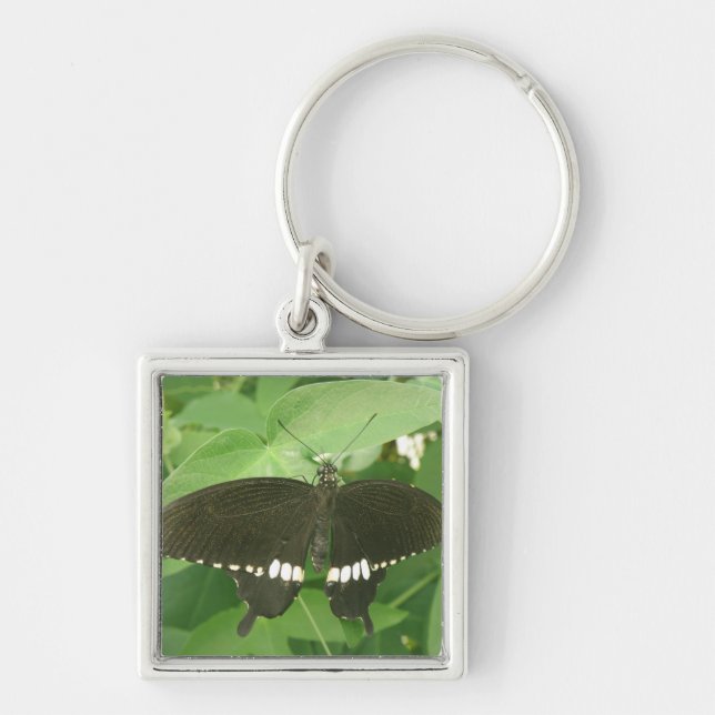 Common Mormon Butterfly Keychain (Front)