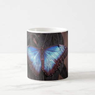 Common Morpho Butterfly Coffee Mug