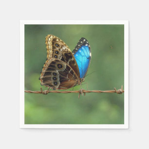 Common Morpho Butterfly on Barbed Wire Napkin