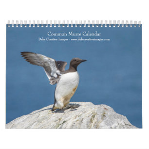 Common Murre Calendar 2026