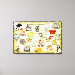 Common Names Canvas 30x20 Mushrooms of Vermont Print