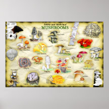Common Names Poster Mushrooms