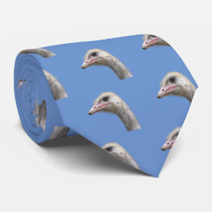 Common ostrich tie