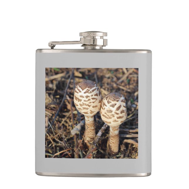 Common parasol mushroom hip flask (Front)