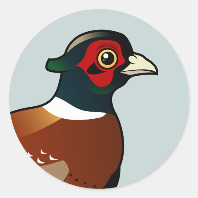 Common Pheasant Classic Round Sticker (Front)