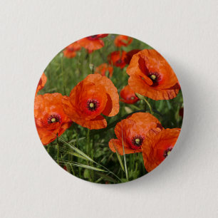 Common Poppies 6 Cm Round Badge