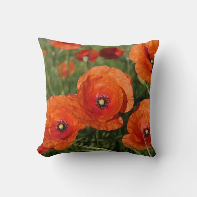 Common Poppies  Cushion (Front)
