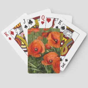 Common Poppies  Playing Cards