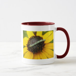 Common Pug Moth Caterpillar Coordinating Items Mug