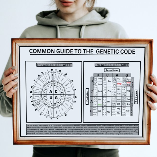 Common quide to the genetic code poster (Creator Uploaded)