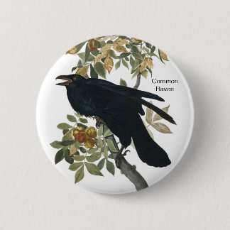 Common Raven by Audubon, Black Crow, Birdwatcher 6 Cm Round Badge