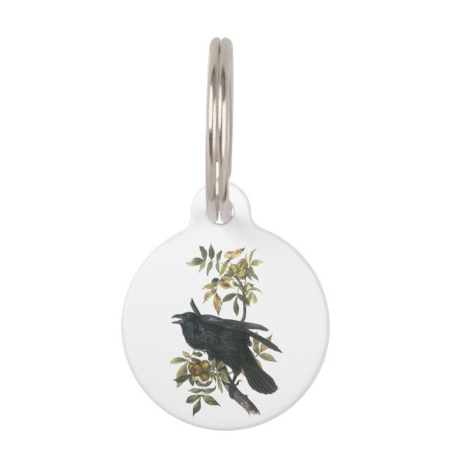 Common Raven by Audubon Pet Tag (Front)
