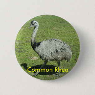 Common Rhea button