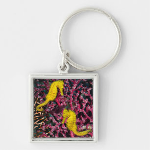 Common Sea Horse Hippocampus Taeniopterus Key Ring