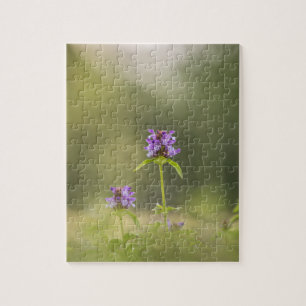 Common Self-Heal Nature Photo Jigsaw Puzzle