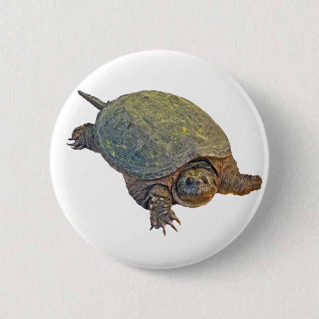 Common Snapping Turtle - Chelydra serpentina 6 Cm Round Badge (Front)
