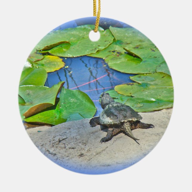 Common Snapping Turtle - Chelydra serpentina Ceramic Ornament (Front)