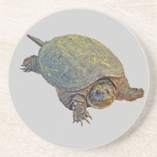 Common Snapping Turtle - Chelydra serpentina Coaster