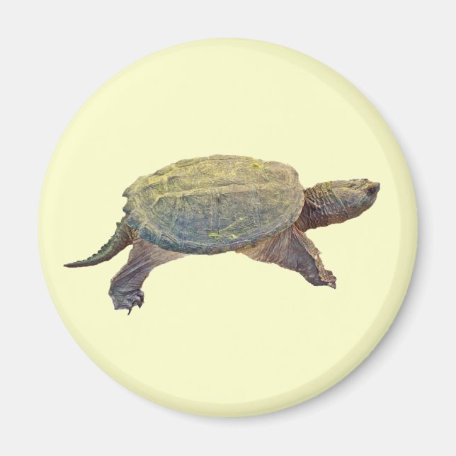 Common Snapping Turtle - Chelydra serpentina Magnet (Front)