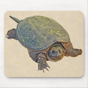 Common Snapping Turtle - Chelydra serpentina Mouse Pad