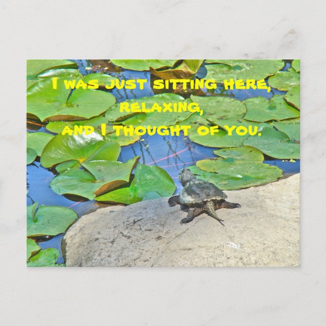 Common Snapping Turtle - Chelydra serpentina Postcard (Front)