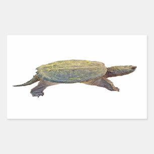 Common Snapping Turtle - Chelydra serpentina Rectangular Sticker