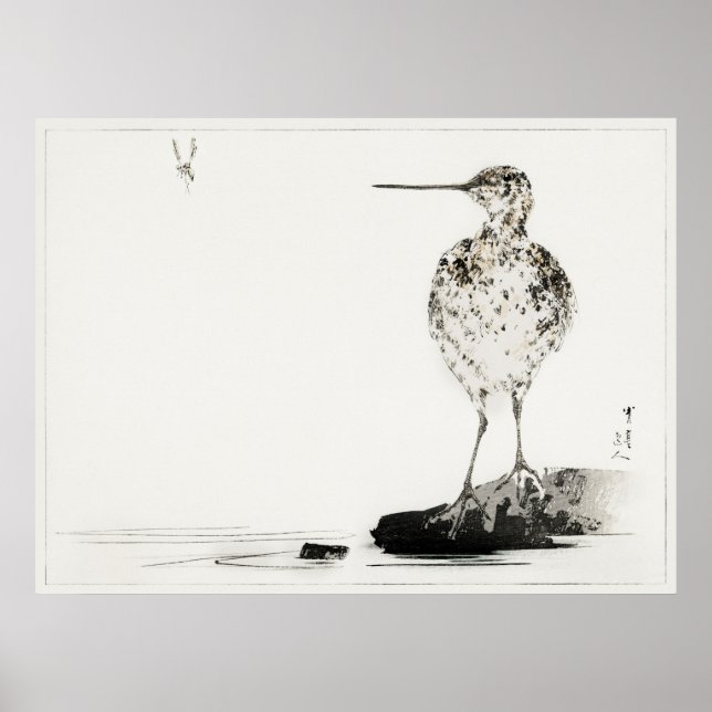 Common Snipe Vintage Japanese Illustration Poster (Front)