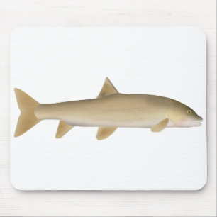 Common Snowtrout Mouse Pad