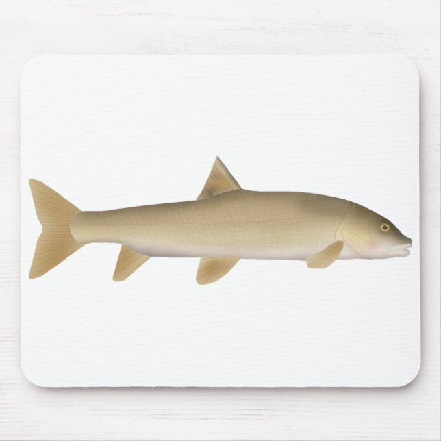 Common Snowtrout Mouse Pad (Front)