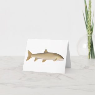 Common Snowtrout Note Card