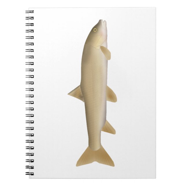 Common Snowtrout Notebook (Front)