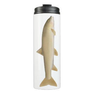 Common Snowtrout Thermal Tumbler